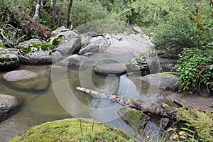 Belokurikha river on a summer day , Belokurikha city, Altai Territory, Russia