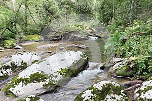 Belokurikha river on a summer day , Belokurikha city, Altai Territory, Russia