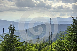 Below Clingmans Dome in Newfound Gap Area of Smoky Mountains