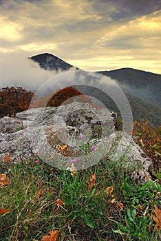 Below the Peaks