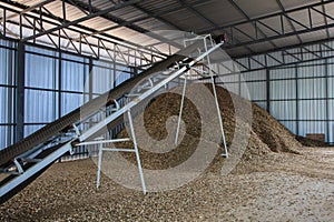 Belt conveyer transport wood chip for store in yard