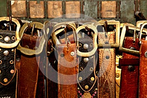 Belts