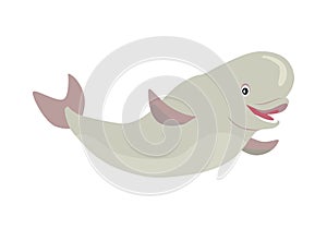 Beluga Whale Cartoon Flat Vector Illustration