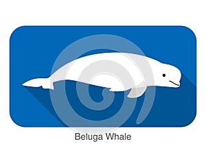 Beluga whale swimming in the water, flat icon, vector illustration