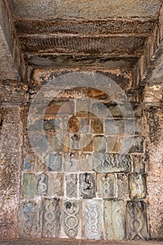 Wall full of snake sculptures at Chennakeshava Temple in Belur, India photo