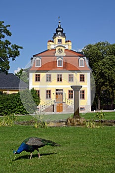 Belvedere Castle Weimar