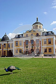 Belvedere Castle Weimar photo