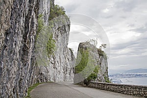 Belvedere climbing garden near Trieste photo