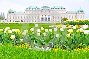 Belvedere Palace Spring Time