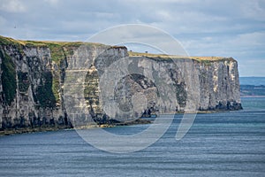 Bempton Cliffs focused on the cliffs where the Gannets nest, North Yorkshire, UK