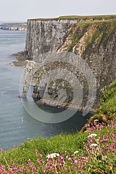 Bempton Cliffs, Humberside