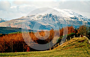 Ben Ledi Kilmahogl near Callander. Stirlingshire,Scotland,UK. 