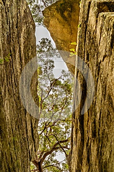 Ben`s Walk in Nowra along the Shoalhaven River