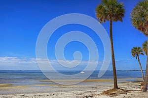 Ben T. David Beach, Tampa, Florida photo