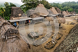 Bena Traditional Village photo