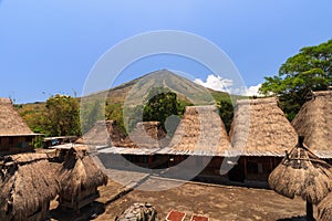 Bena traditional village, near Bajawa, Flores, Indonesia