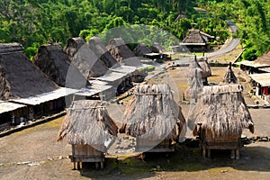 Bena Village photo