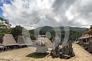 Bena village interior