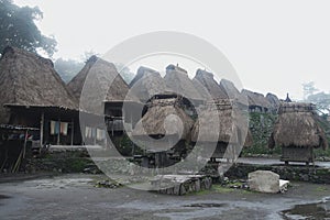 Bena Traditional Village photo