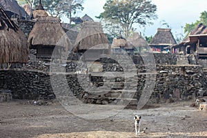 Bena village - traditional Indonesian village in Flores island with megalithic stone formations, grave yard and traditional houses