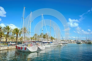 Benalmadena marina. Costa del Sol, Malaga province, Andalusia, S