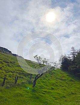 Benbulbin, County Sligo, Ireland photo