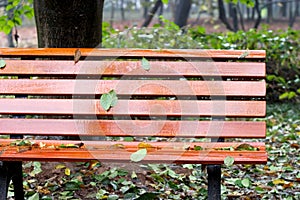 Bench