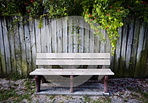 Bench