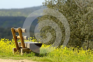 Bench