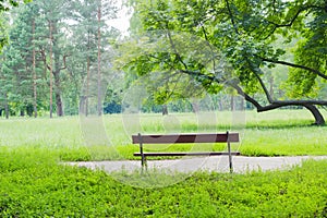 Bench against a background of a glade in the park