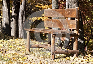 Bench in autumn