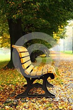 Bench in the autumn