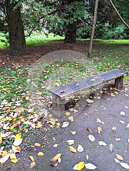 A bench, autumn in Dendrological Park Arboretum Silva photo