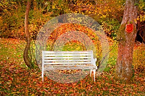 Bench in autumn forest