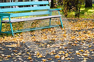 Bench in the autumnPark