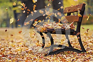 Bench in autumn park