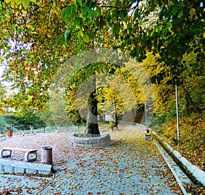 Bench in autumn park.