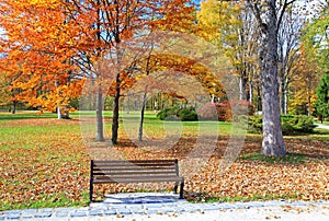 Bench in the autumn park