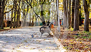 Bench in the autumn Park. Yellow maple leaves in the old city Park. Yellow leaf on the bench. Autumn yellow trees