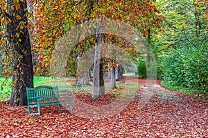 Bench in autumnal park.