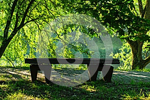 Bench on the bank of the lake in summer day