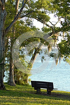 Bench by the bay at sunrise; a great  time to reflect