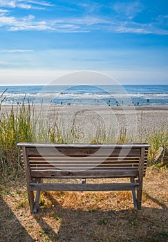 Bench on the Beach