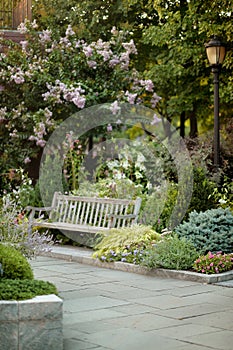 Bench in beautiful green park, in summer