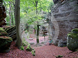 The SiewenschlÃÂ¼ff on the Mullerthal Trail in Berdorf, Luxembourg photo