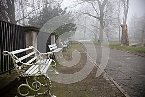 A bench in a calm park setting - misty autumn background