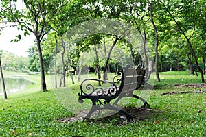 Bench in central park