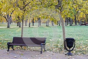 bench in the city park