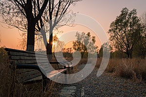 A bench in City park at sunset