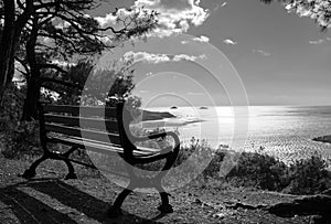 a bench on the coast of the sea of Marmara in the north of the island BÃÂ¼yÃÂ¼kada photo